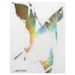 BUTTERFLIES DRAGON FEET ASTEROIDS LETTERHEAD