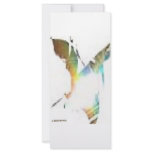 BUTTERFLIES DRAGON FEET ASTEROIDS FULL COLOR RACK CARD