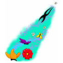 Butterflies, Flowers and Stars shirt