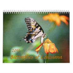 Butterflies & Flowers of Louisiana calendar