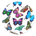 Butterflies Fluttering By Sticker