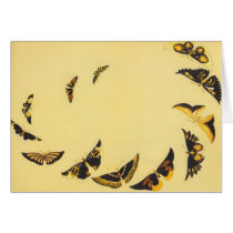 Butterflies in Flight - Card
