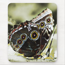butterflies in love mousepad