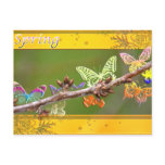 Butterflies in Spring Post Cards
