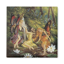 Butterflies in the Forest magnets by MyOtherPlanet Butterflies in the Forest magnets