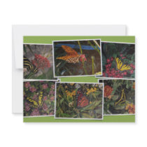 Butterflies invitations