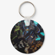 butterflies keychains by minx267 butterflies keychains