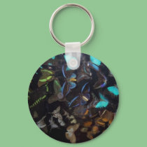 butterflies keychains