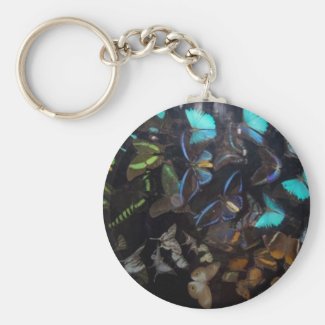 butterflies keychain