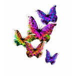 Butterflies Ladies Shirt