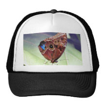 Butterflies Leaf Hats