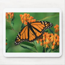 butterflies monarch butterfly mousepad