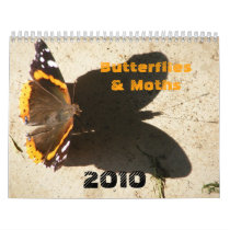 Butterflies & Moths 2010 Wall Calendar