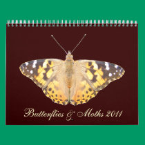 Butterflies & Moths 2011 calendars