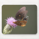 standard_mousepad - Butterflies standard_mousepad - Butterflies
