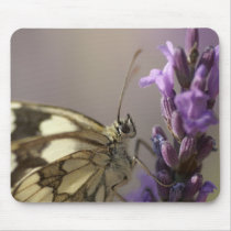 butterflies mousepads by mag26s butterflies mousepads