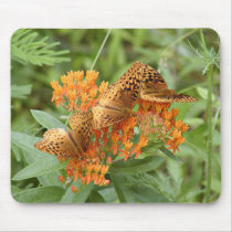 butterflies mousepads