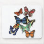Butterflies Mouse Pads
