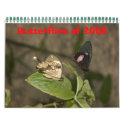 Butterflies of 2008 calendars
