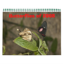 Butterflies of 2008 calendars