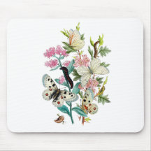 Butterflies of Summer Mouse Pads