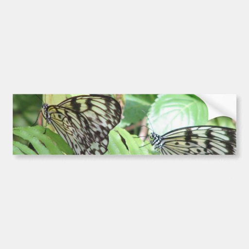 Butterflies on Fern  Bumper Stickers