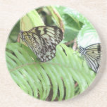 Butterflies on Fern  Coaster