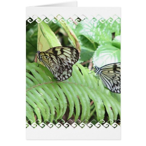 Butterflies on Fern  Greeting Card