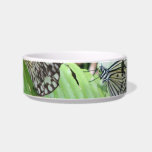 Butterflies on Fern Pet Bowl Cat Water Bowl