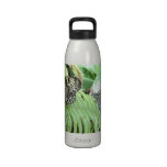 Butterflies on Fern Water Bottle