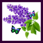 Butterflies on Lilac Flowers