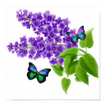 Butterflies on Lilac Flowers posters
