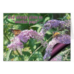 Butterflies on Lilac-page-customize Greeting Cards