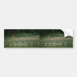 Butterflies on Rio Napo, Ecuador Bumper Stickers