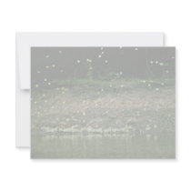Butterflies on Rio Napo, Ecuador invitations