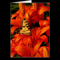 Butterflies on Tiger Lilies cards