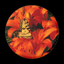 Butterflies on Tiger Lilies magnets