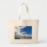 butterflies pierides amazon river bags