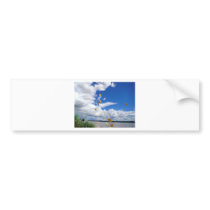 butterflies pierides amazon river bumper sticker