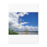 butterflies pierides amazon river post cards