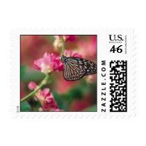 Butterflies postage by lupusallstarrs Butterflies postage