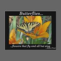 Butterflies... postcards by lorale Butterflies... postcards