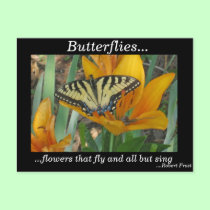 Butterflies... postcards by lorale Butterflies... postcards
