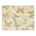 Butterflies Postcard postcards