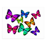 Butterflies Postcard
