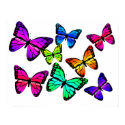 Butterflies Poster posters