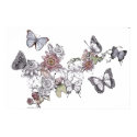 ButterFlies posters