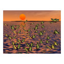 Butterflies posters