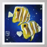 Butterflies Posters