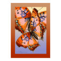 Butterflies red blue abstract painting print